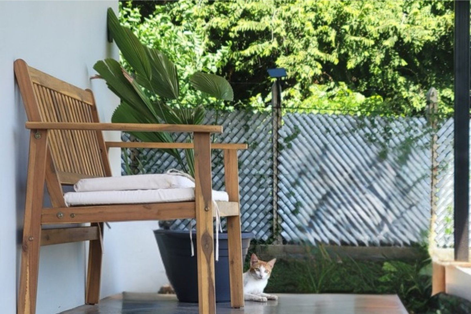 Patio with garden and chair at Mango Surf Studios, Punta Mango
